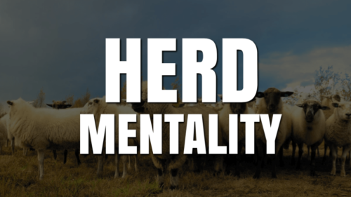 Herd Mentality : Why its so difficult to avoid….
