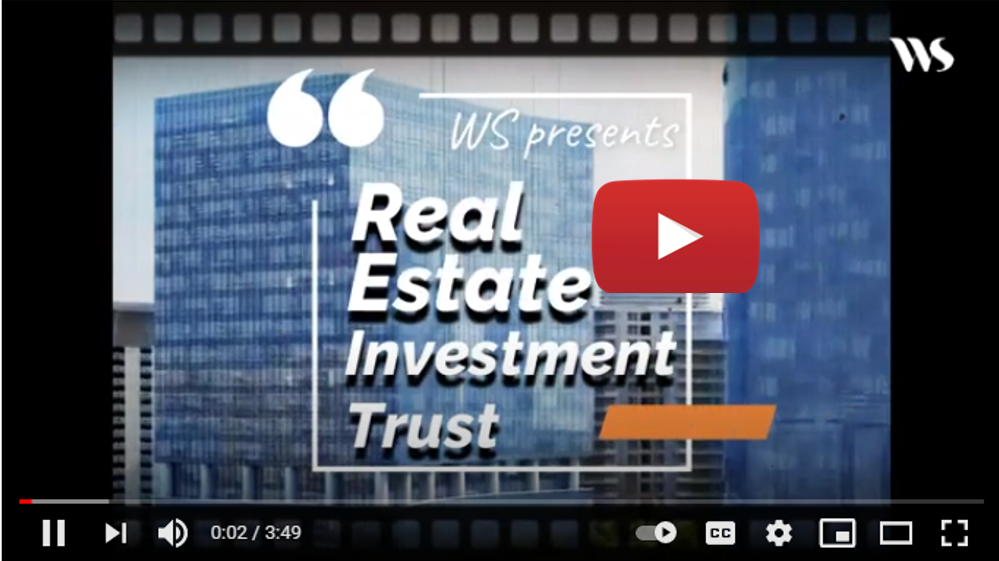 What are REITs ?